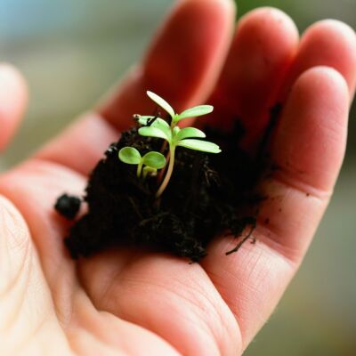 Progetto “Ecoscatenante” – Esito selezione per personale esterno